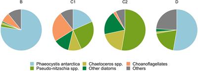 Prokaryotic Response to Phytodetritus-Derived <mark class="highlighted">Organic Material</mark> in Epi- and Mesopelagic Antarctic Waters